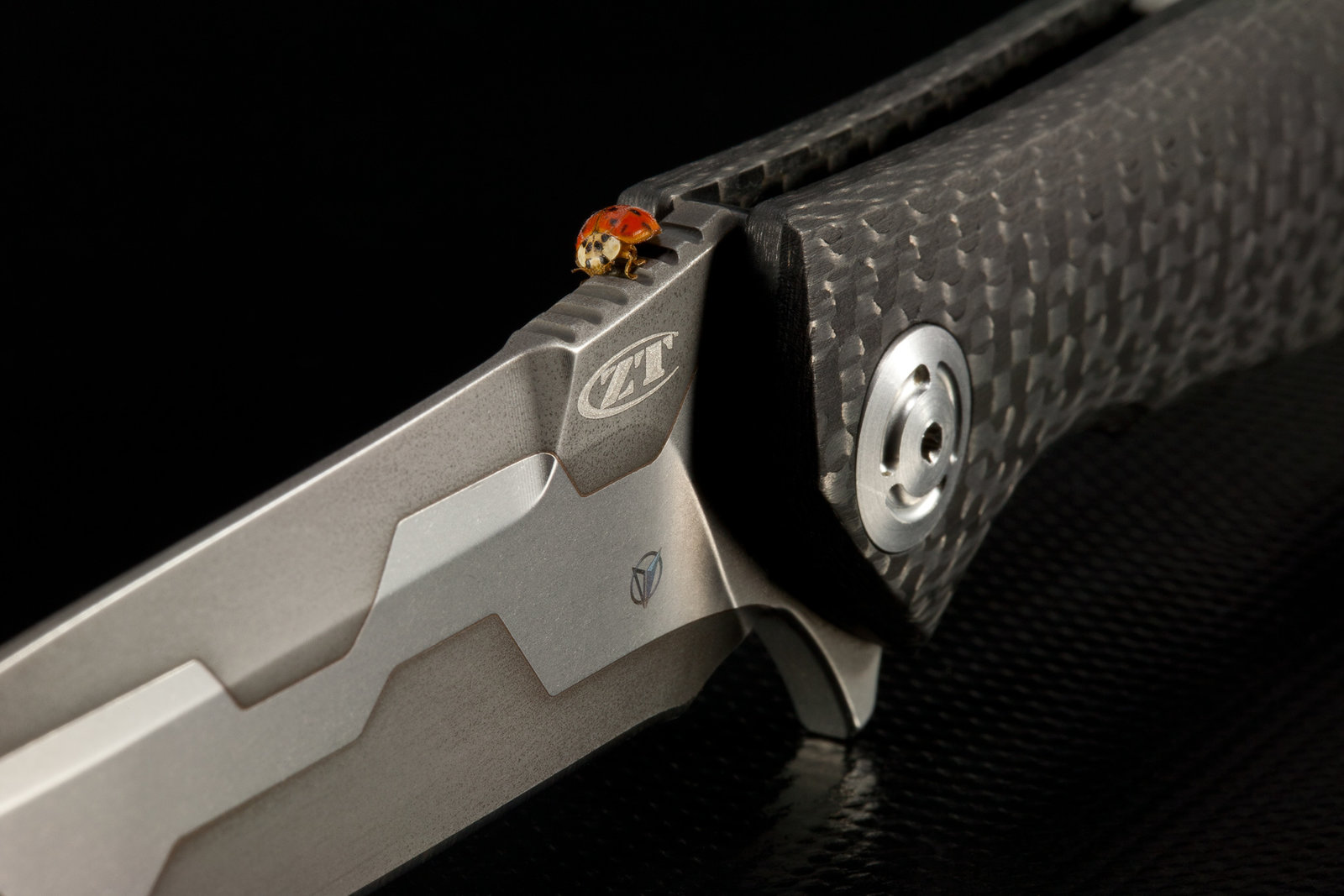 ZT 0454, 07.jpg