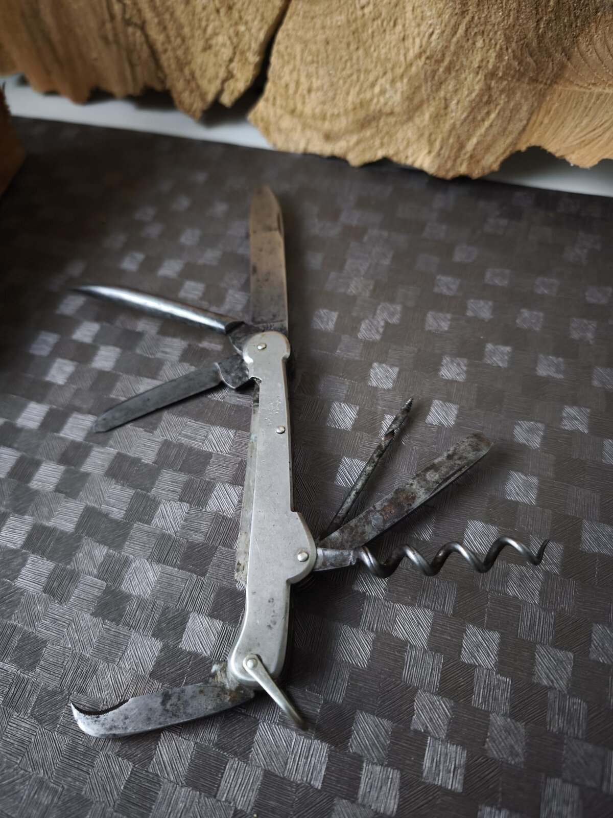 zwilling2.jpg