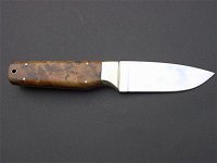 thuya 002.jpg