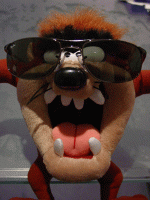 sonnenbrille-tt.gif