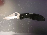 spydie.jpg