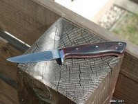 test6.jpg