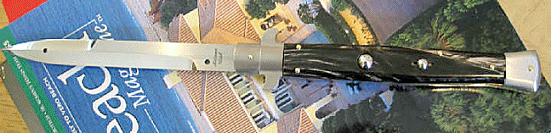 mti1.gif