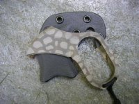 pict0001.jpg