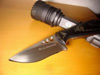größenänderungblackwood1.jpg