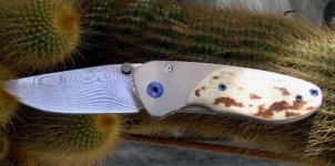 freagle klein1001.JPG