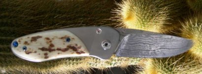 Freagle klein 2.JPG