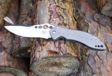 Skirmish vorn Holz2.jpg