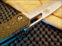sojourn_crackedhalloween-5.jpg