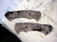 rough scales from the Maxi.jpg