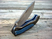Mini Urban Warrior Carbonfiber half closed.jpg