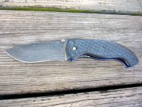 Mini Urban Warrior Carbonfiber.jpg