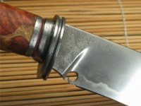 129_2996.mixmf.jpg