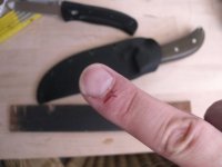 Blut-Inside.JPG