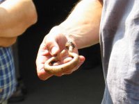IMG_6086.JPG