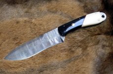 Hunter01d.jpg
