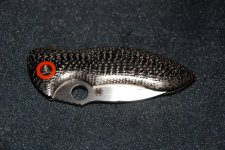 DSC_0009.jpg