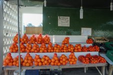 DSC05695-2.jpg