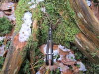 IMG_1377.jpg