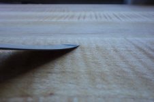 DSC07619-2.jpg