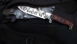 Holster+Desert2.jpg