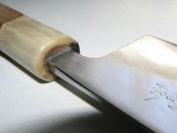 P1230200x.jpg