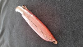 20150316_144157.jpg