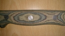DSC_0263.jpg
