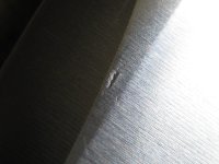 IMG_0388.JPG IMG_0388.JPG