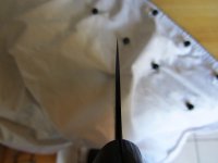 IMG_7223.jpg