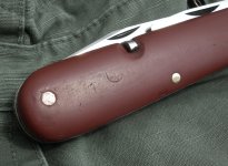 SAK 51 (8).JPG