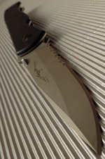 DSC01400.jpg