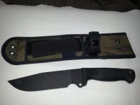 Busse bassic.jpg
