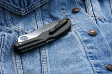 spyderco_spydersaw_0.JPG