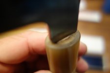 DSC03504.jpg