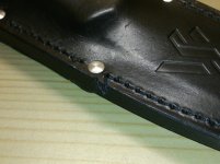 Gekko01.jpg
