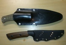 Gekko02.jpg