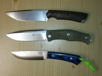 Gekko03.jpg