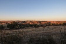 IMG_1452.jpg