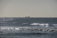 IMG_1173.jpg