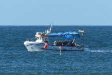 IMG_1177.jpg