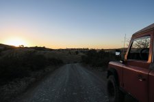 IMG_1458.jpg