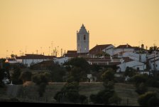 IMG_1461.jpg