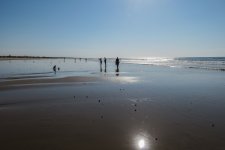 IMG_1621.jpg