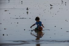 IMG_1622.jpg