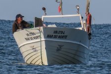 14 IMG_1808 600 4x.jpg