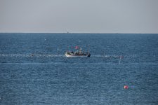 IMG_1865.jpg