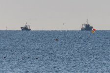 IMG_1884.jpg