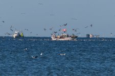 IMG_1889.jpg