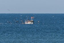 IMG_1908.jpg